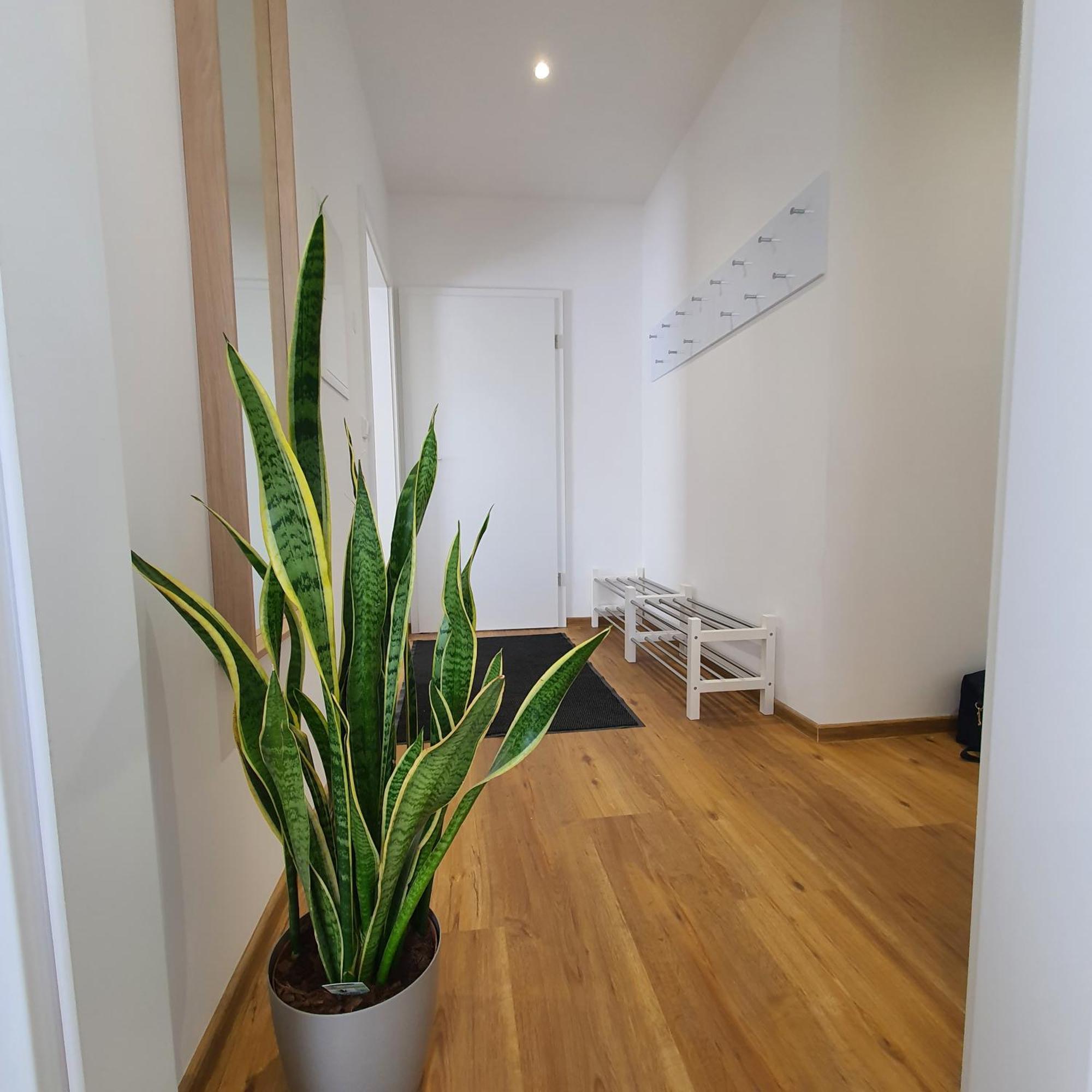 Laineckerstrasse 8 In 95445 Bayreuth Apartment Exterior photo